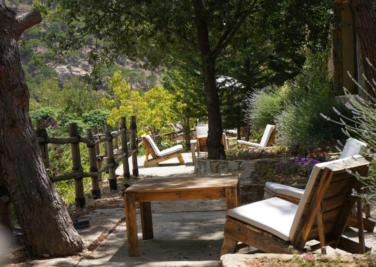 Blue Jay Valley Jezzîne Εξωτερικό φωτογραφία