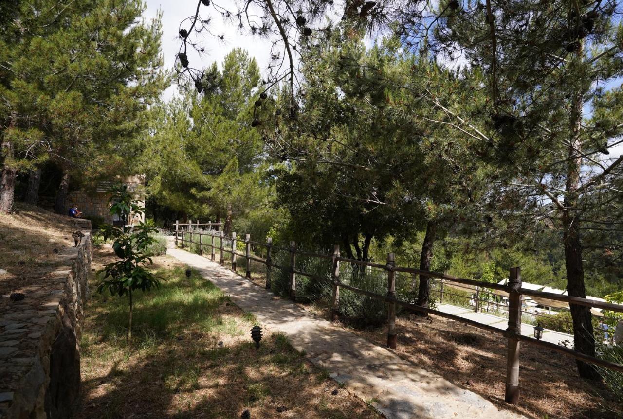 Blue Jay Valley Jezzîne Εξωτερικό φωτογραφία