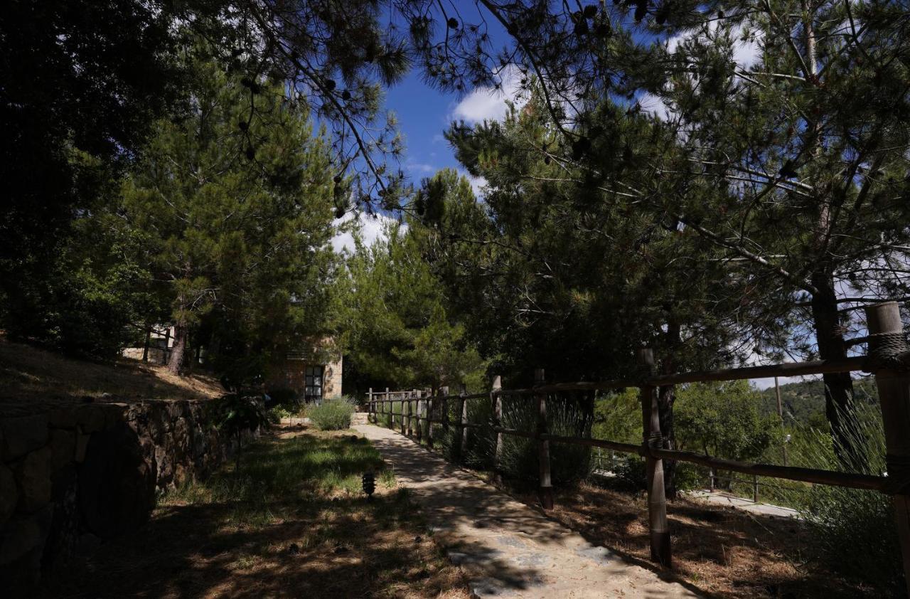 Blue Jay Valley Jezzîne Εξωτερικό φωτογραφία